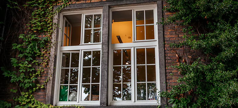 Energy Efficient Wood Windows in Oakley, CA