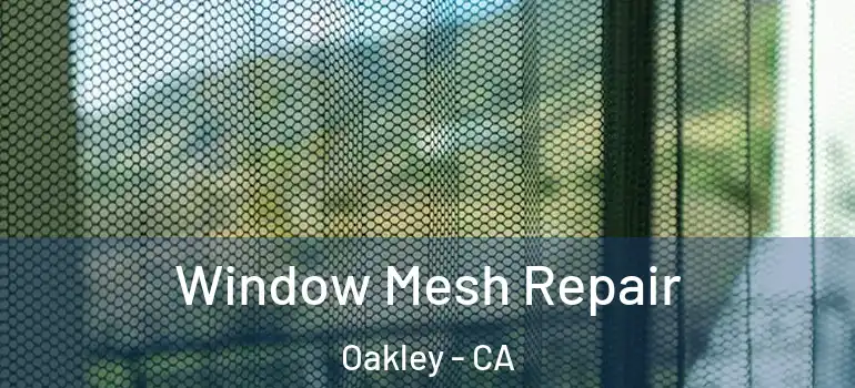  Window Mesh Repair Oakley - CA